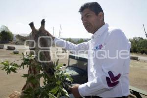 MEJOR RUMBO PARA PUEBLA . AGENDA ANIMALISTA