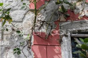 CASONAS ABANDONADAS