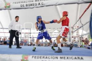 TORNEO DE BARRIOS . BOX