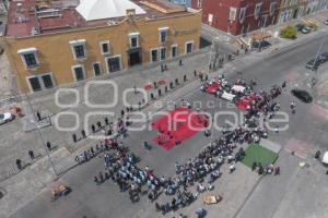 MANIFESTACIÓN . NORMAL DE TETELES