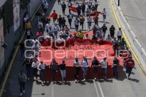 MANIFESTACIÓN . NORMAL DE TETELES