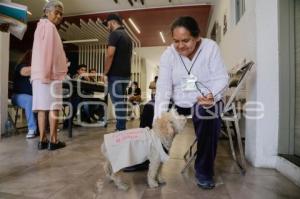 ELECCIONES 2024 . DAISY