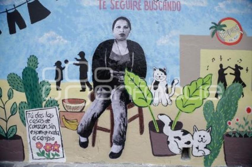 MURAL . MUJER DESAPARECIDA