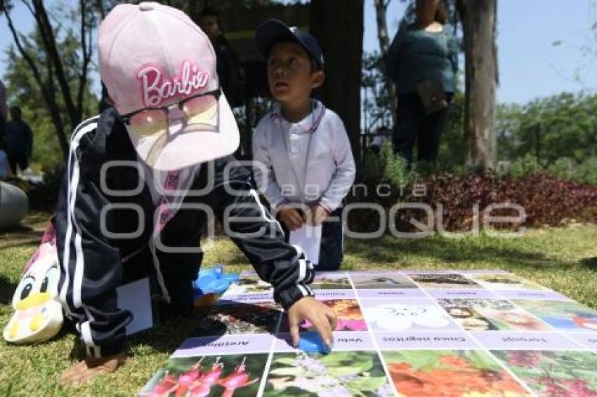 TLAXCALA . FERIA AMBIENTAL