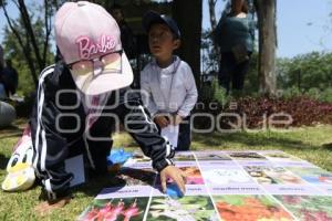 TLAXCALA . FERIA AMBIENTAL