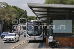 RUTA