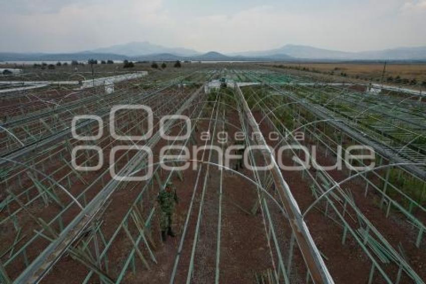 TLAXCALA . VIVERO 23 ZONA MILITAR