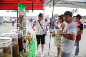 SAN ANDRÉS CHOLULA . FERIA DEL NOPAL
