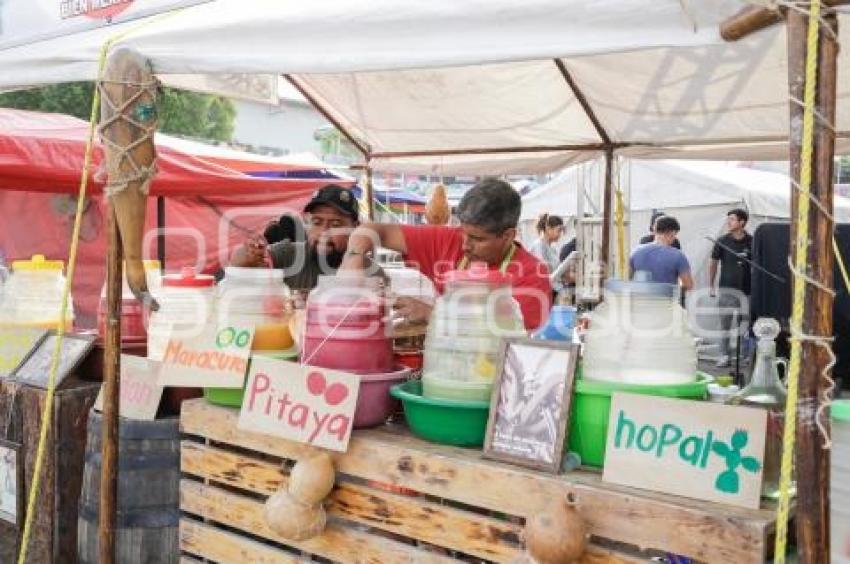 SAN ANDRÉS CHOLULA . FERIA DEL NOPAL
