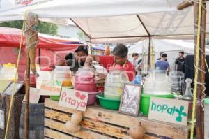SAN ANDRÉS CHOLULA . FERIA DEL NOPAL