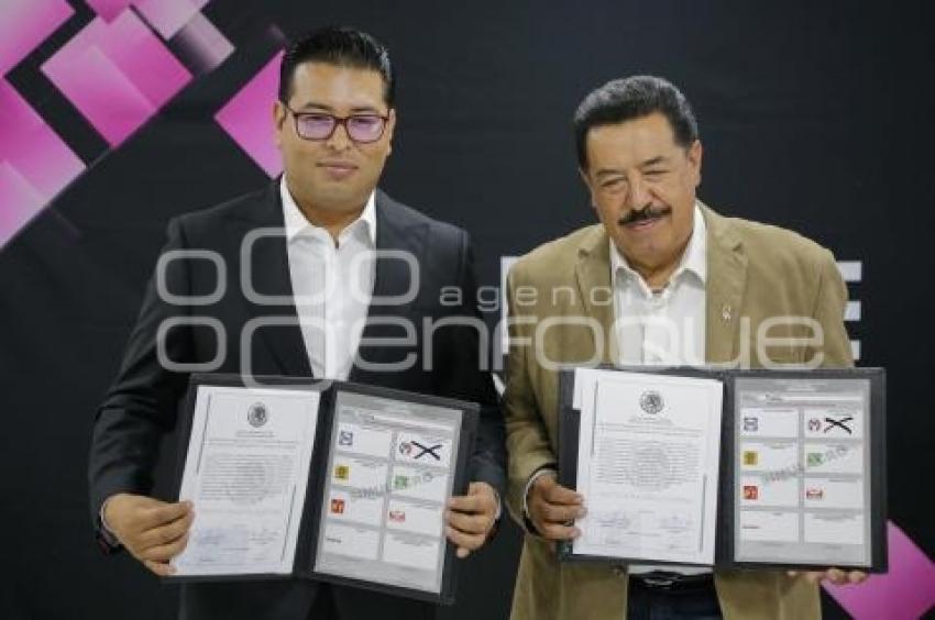 NÉSTOR CAMARILLO . CONSTANCIA SENADORES