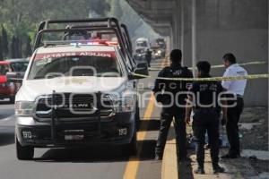 CADÁVER . AUTOPISTA MÉXICO - PUEBLA