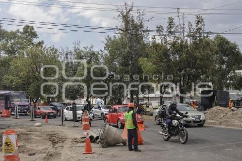 DISTRIBUIDOR VIAL . AMALUCAN . ÁRBOLES