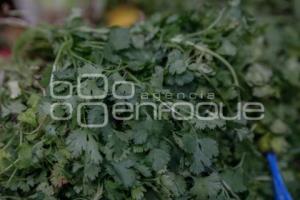 ECONOMÍA . CILANTRO