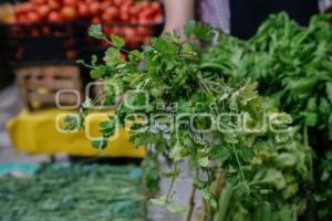 ECONOMÍA . CILANTRO
