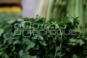 ECONOMÍA . CILANTRO
