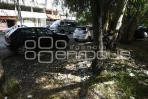 TLAXCALA . BASURA