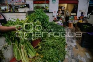 ECONOMÍA . CILANTRO