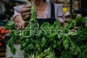 ECONOMÍA . CILANTRO