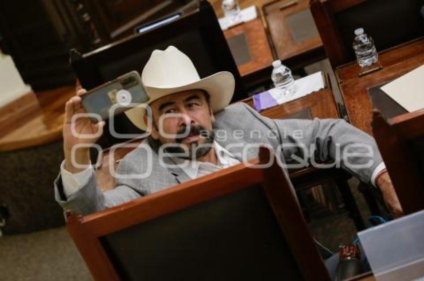 SESIÓN PÚBLICA ORDINARIA . CONGRESO