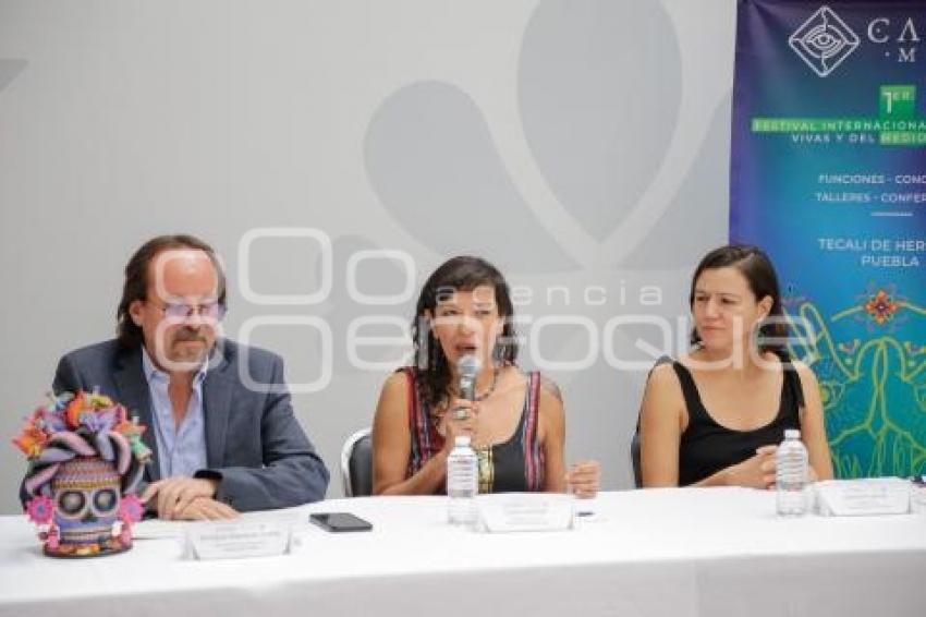 FESTIVAL DE ARTES VIVAS