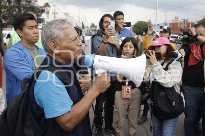 MANIFESTACIÓN . AMALUCAN . ÁRBOLES