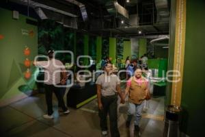 NOCHE DE MUSEOS . ACUARIO MICHIN