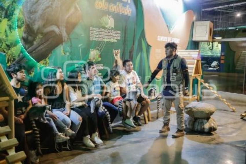 NOCHE DE MUSEOS . ACUARIO MICHIN