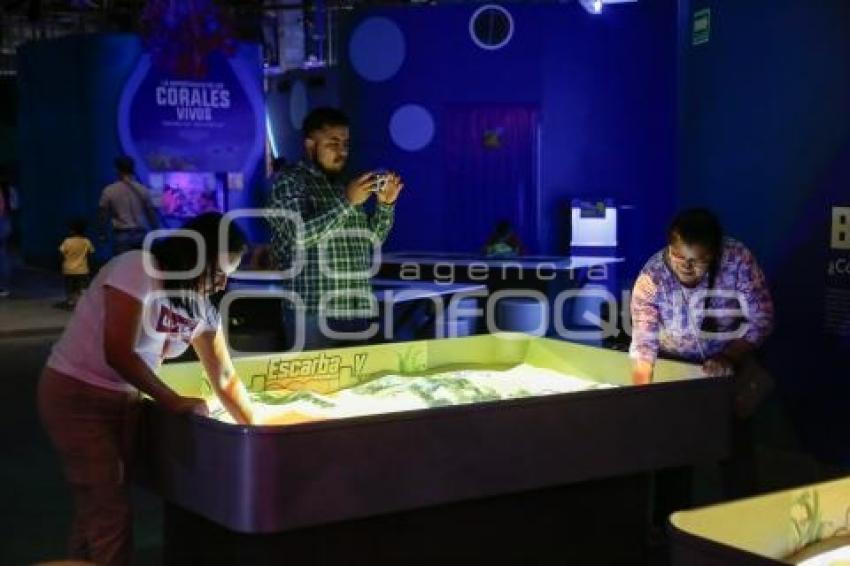 NOCHE DE MUSEOS . ACUARIO MICHIN