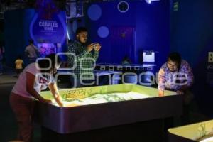 NOCHE DE MUSEOS . ACUARIO MICHIN