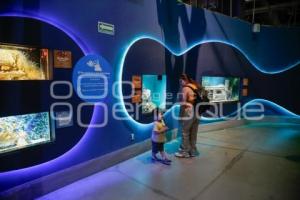 NOCHE DE MUSEOS . ACUARIO MICHIN