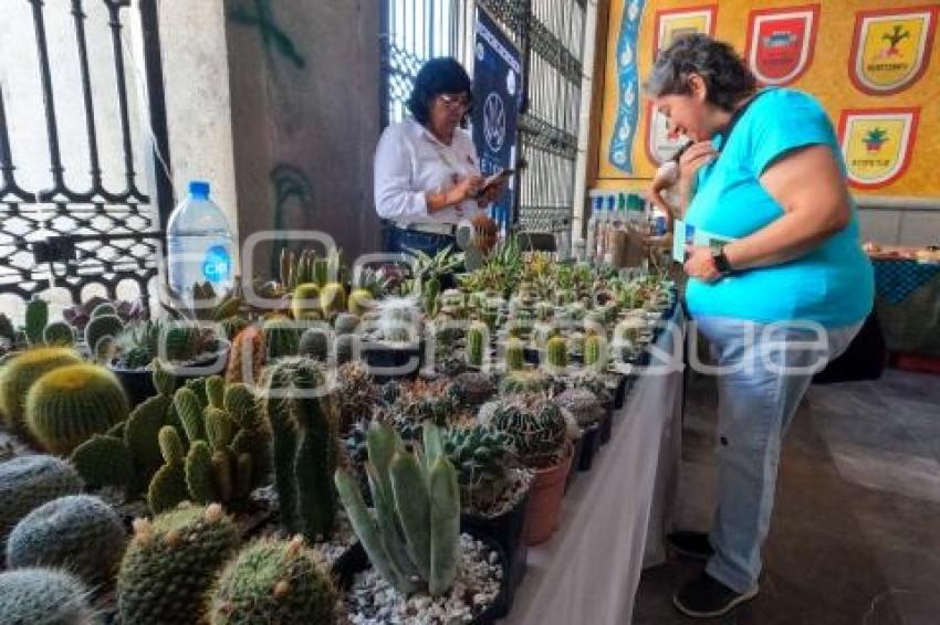 TLAXCALA . FESTIVAL DE SUCULENTAS