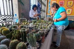 TLAXCALA .  FESTIVAL DE SUCULENTAS