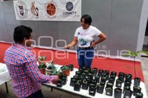 TLAXCALA .  FESTIVAL DE SUCULENTAS
