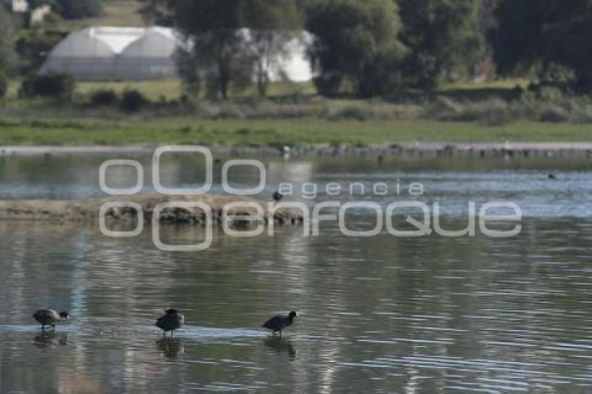 TLAXCALA . LAGUNA ACUITLAPILCO