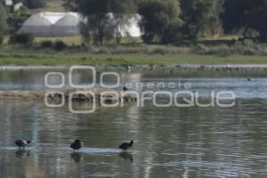 TLAXCALA . LAGUNA ACUITLAPILCO