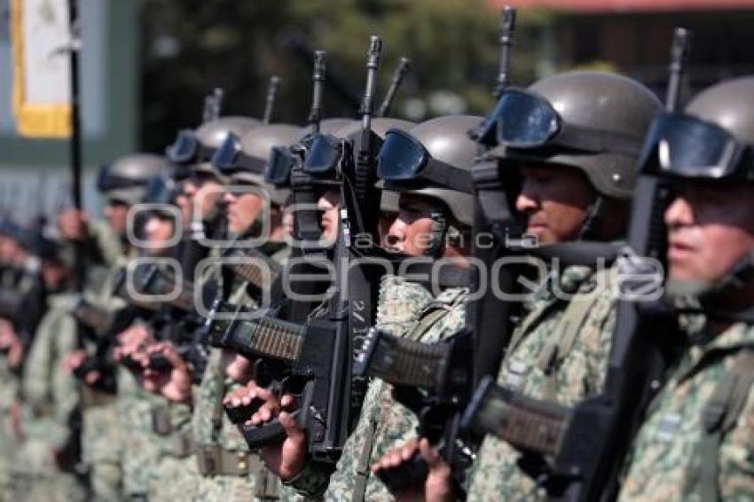 SEDENA . DESTRUCCIÓN ARMAMENTO