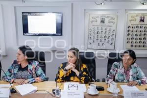 CONGRESO . COMISIONES UNIDAS