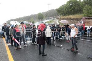 MANIFESTACIÓN PERIFÉRICO ECOLÓGICO
