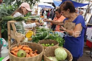 TIANGUIS ALTERNATIVO PUEBLA