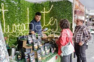 OAXACA EN PUEBLA