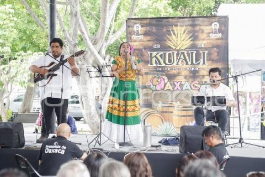 OAXACA EN PUEBLA