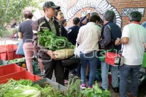 TIANGUIS ALTERNATIVO PUEBLA