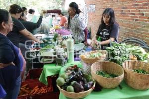 TIANGUIS ALTERNATIVO PUEBLA