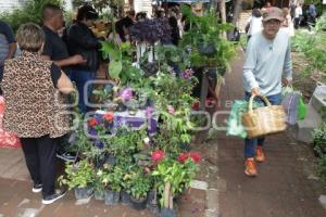 TIANGUIS ALTERNATIVO PUEBLA