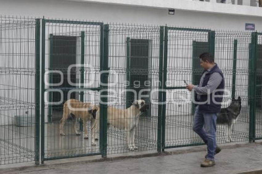 AYUNTAMIENTO . ESTANCIA PARA EL BIENESTAR ANIMAL