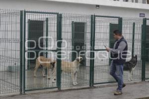 AYUNTAMIENTO . ESTANCIA PARA EL BIENESTAR ANIMAL