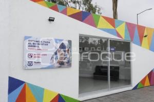 AYUNTAMIENTO . ESTANCIA PARA EL BIENESTAR ANIMAL
