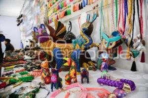OAXACA EN PUEBLA