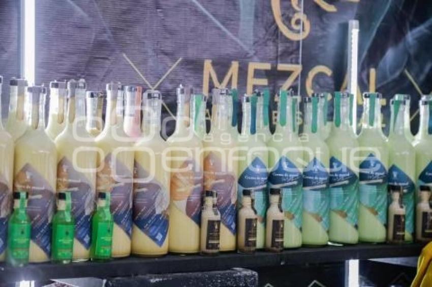 OAXACA EN PUEBLA